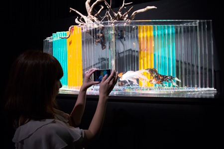 �����f�[�g�i�r,�B�e,�I���W�i��,���f�]�ڋ֎~,