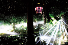 2009�N1����