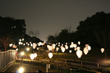 2009�N1����