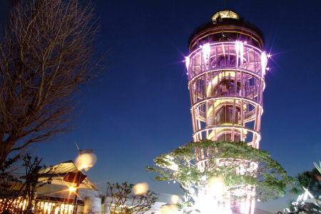 2009�N1����