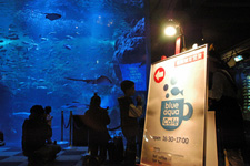 2009�N1����