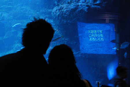 2009�N1����