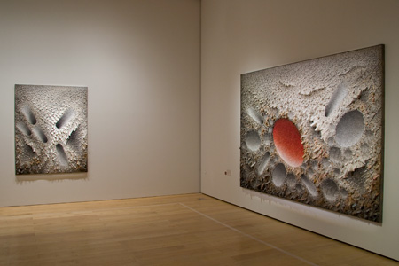 2009�N2���B�e