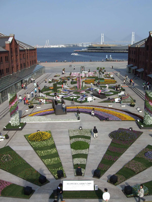 2009�N����CANON 30D�ɂĎB�e