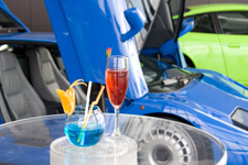 2009�N3���B�e