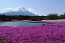 2009�N5��8������