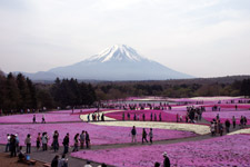 2009�N5��8������