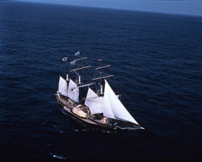 2009�N4����