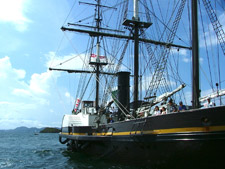 2009�N4����