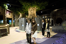 2009�N3����