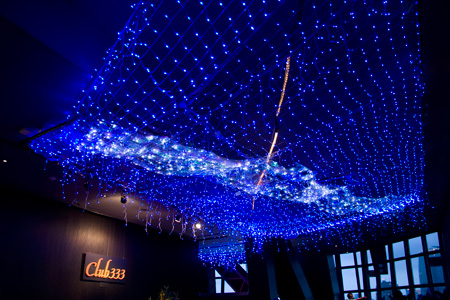 2009�N6���B�e