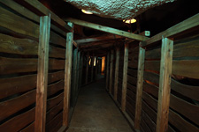 2009�N7����