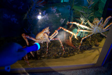 2009�N7���B�e