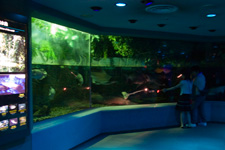 2009�N7���B�e