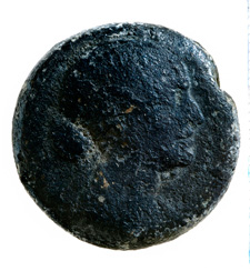 2009�N6����