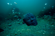 2009�N6����