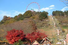 2009�N9����