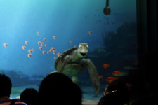 2009�N10���B�e