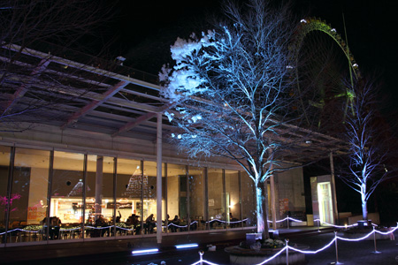 2009�N12���B�e