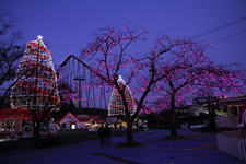 2009�N12���B�e