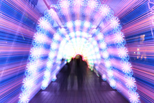 �����N�����B�e