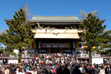 2009�N1���B�e