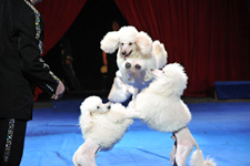 2010�N1����