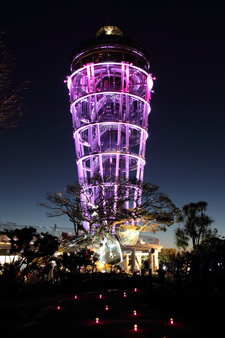 2010�N2���B�e