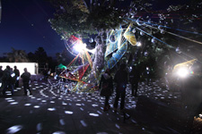 2010�N2���B�e