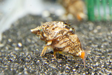 2010�N2���B�e