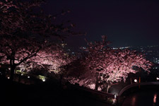 2010�N2���B�e