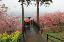 2010�N2���B�e