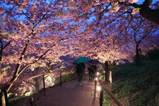 2010�N2���B�e