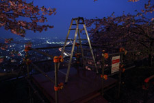 2010�N2���B�e