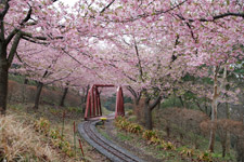 2010�N2���B�e