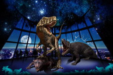 2010�N2����