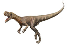 2010�N2����