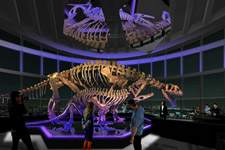 2010�N2����