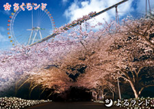 �����N�����B�e