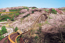 �����N�����B�e