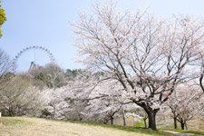 �����N�����B�e