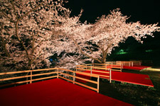 �����N�����B�e