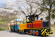 �����N�����B�e