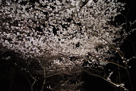 2009�N3���B�e