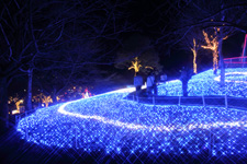 �����N�����B�e