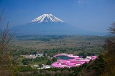 2010�N4����