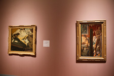 2010�N5��25���B�e