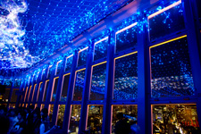 2010�N6���B�e