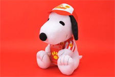 2010�N6����