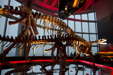 2010�N7���B�e